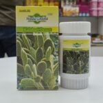 Hoodia Capsule - Image 5