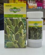 Hoodia Capsule